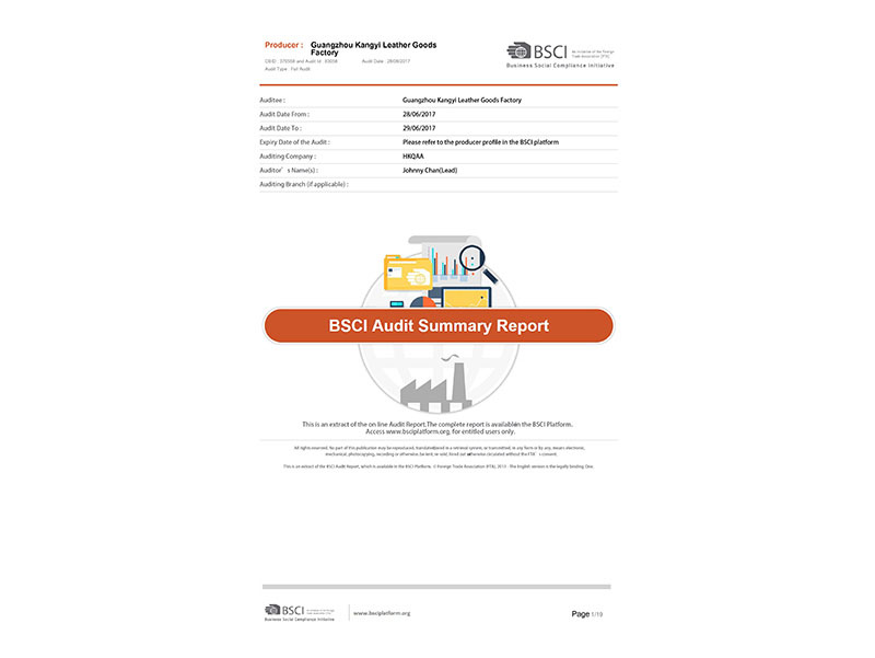 康意BSCI Audit Summary Report